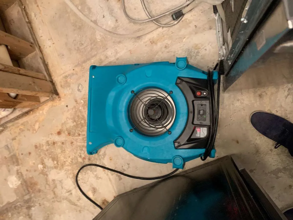 Air mover drying equipment for Mold Remediation & Removal in Grandville